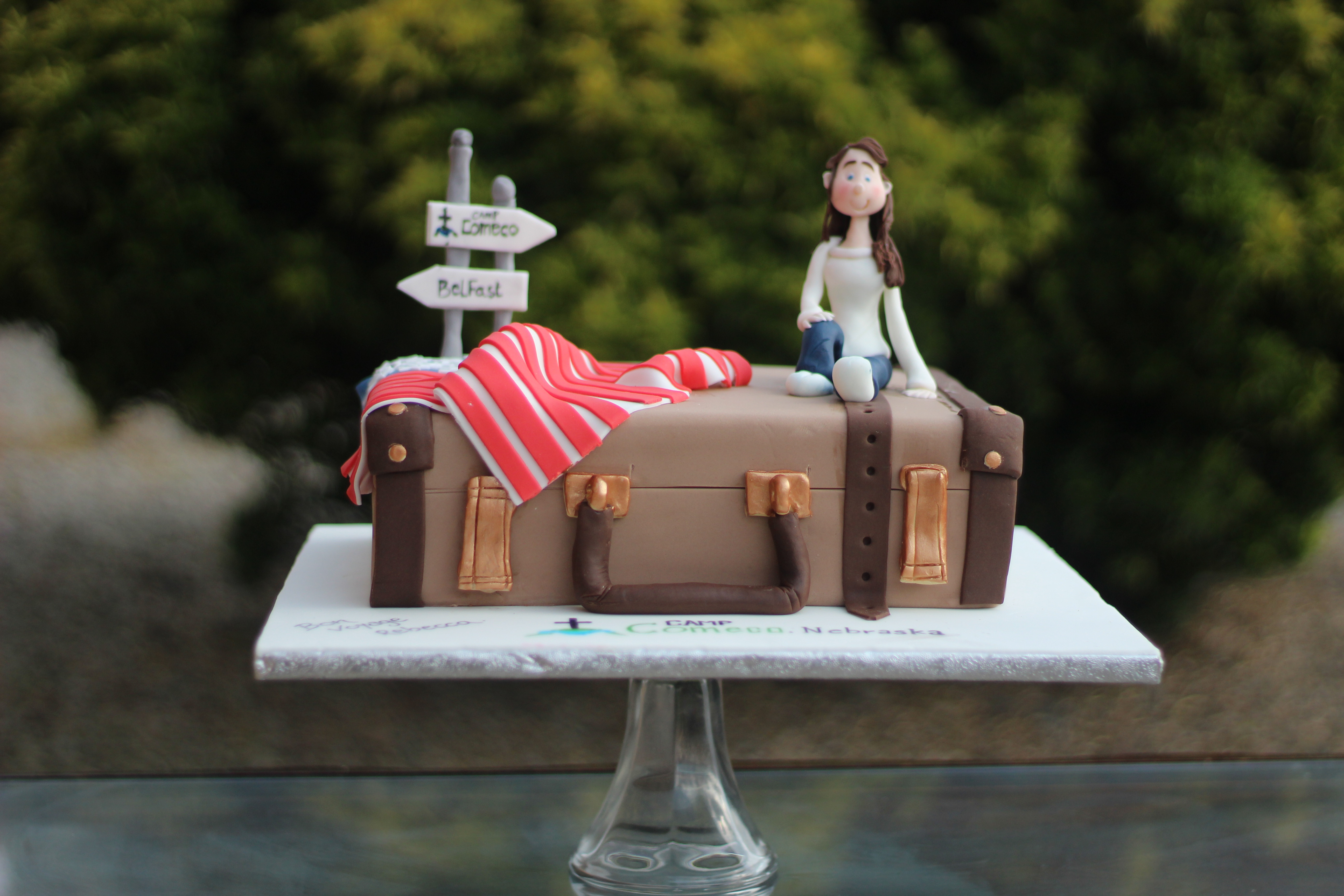 Travel Suitcase Birthday Cake